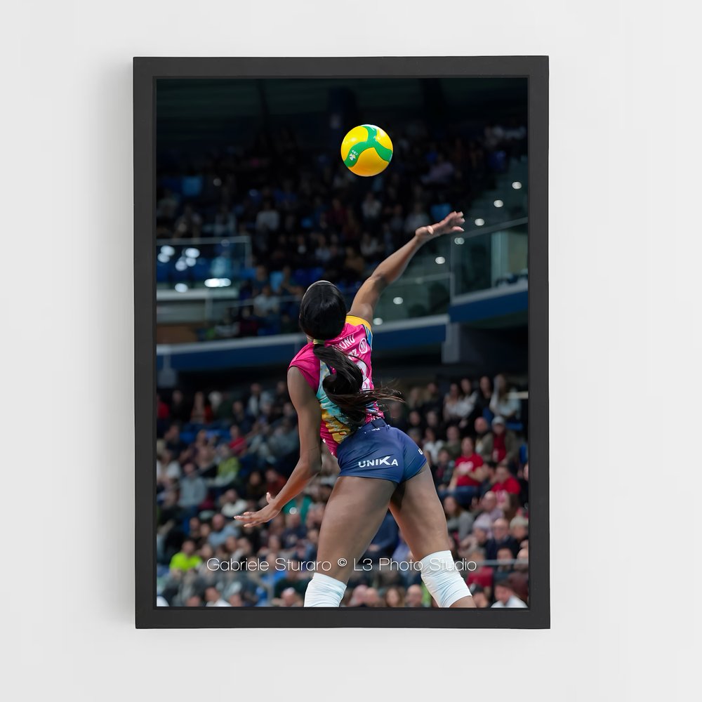 Poster L'Envol d'Egonu – affiche Volleyball (vue 2)